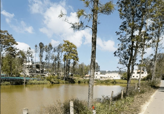 32-km Scenic Loop Road